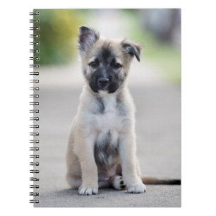 German Shepherd Puppy on Footpath Notitieboek