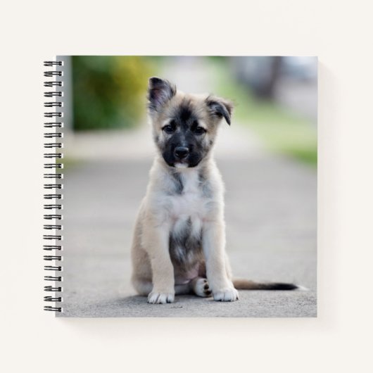 German Shepherd Puppy on Footpath Notitieboek (Voorkant)