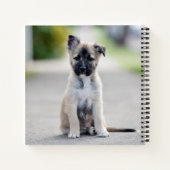 German Shepherd Puppy on Footpath Notitieboek (Achterkant)
