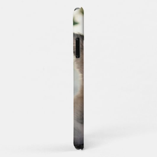 German Shepherd Puppy over Ledge Case-Mate iPhone Case (Achterkant/rechts)