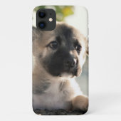 German Shepherd Puppy over Ledge Case-Mate iPhone Case (Achterkant)