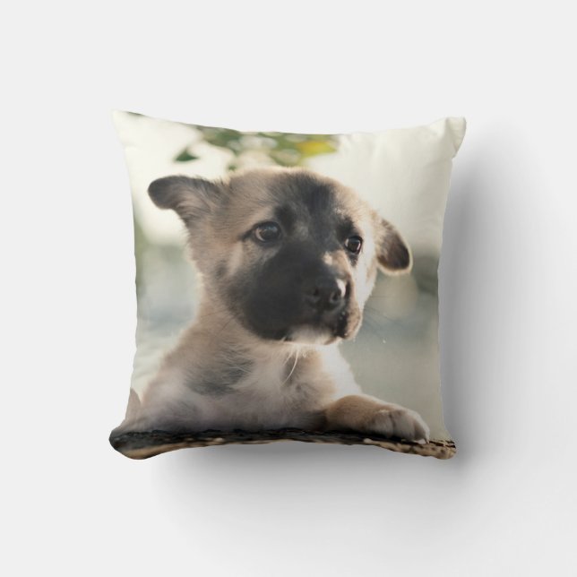 German Shepherd Puppy over Ledge Kussen (Voorkant)