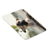 German Shepherd Puppy over Ledge Magneet (Rechterzijde)