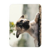 German Shepherd Puppy over Ledge Magneet (Verticaal)