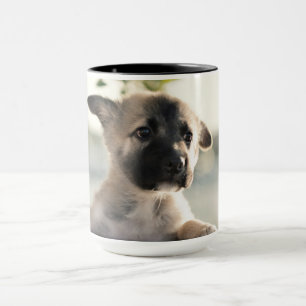 German Shepherd Puppy over Ledge Mok