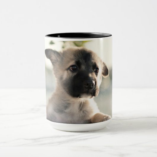 German Shepherd Puppy over Ledge Mok (Midden)