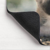 German Shepherd Puppy over Ledge Muismat (Hoek)