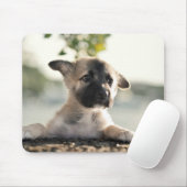 German Shepherd Puppy over Ledge Muismat (Met muis)