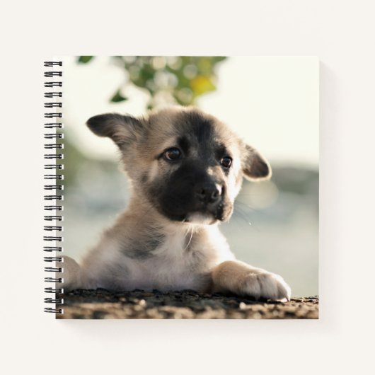 German Shepherd Puppy over Ledge Notitieboek (Voorkant)