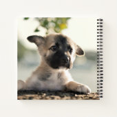 German Shepherd Puppy over Ledge Notitieboek (Achterkant)
