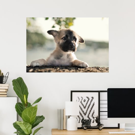 German Shepherd Puppy over Ledge Poster (Thuiskantoor)
