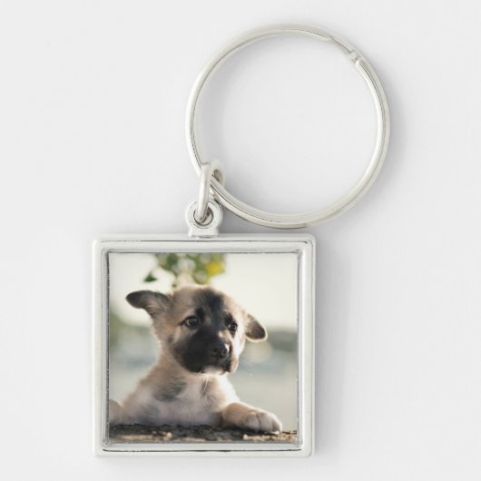 German Shepherd Puppy over Ledge Sleutelhanger (Voorkant)