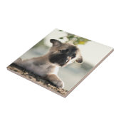 German Shepherd Puppy over Ledge Tegeltje (Zijkant)