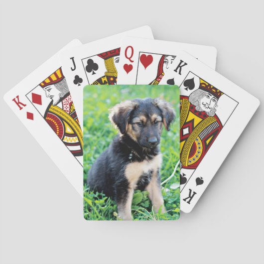 German Shepherd Puppy Pokerkaarten (Achterkant)