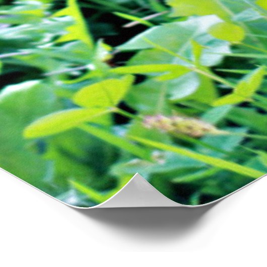 German Shepherd Puppy Poster (Hoek)