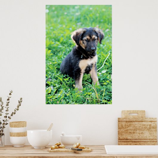 German Shepherd Puppy Poster (Keuken)