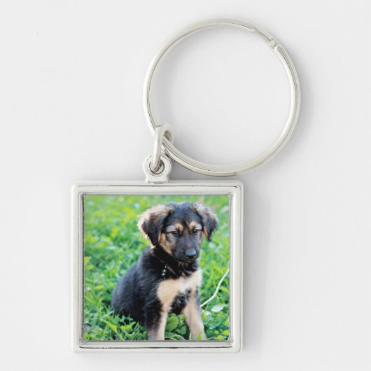 German Shepherd Puppy Sleutelhanger (Voorkant)