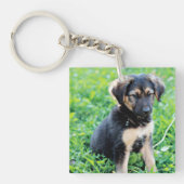 German Shepherd Puppy Sleutelhanger (Voorkant)