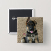 German Shepherd Puppy Square Pin Vierkante Button 5,1 Cm (Voorkant /achterkant)