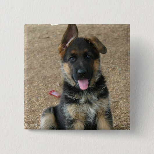 German Shepherd Puppy Square Pin Vierkante Button 5,1 Cm (Voorkant)