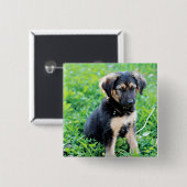 German Shepherd Puppy Vierkante Button 5,1 Cm (Voorkant /achterkant)