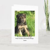 German Shepherd puppy Wenskaart Kaart (Achterkant)