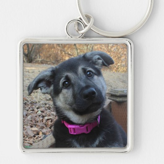 German Shepherd Puppy with Floppy Ears Sleutelhang Sleutelhanger (Voorkant)