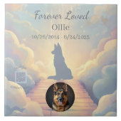 German Shepherd Rainbow Bridge Photo Tile Tegeltje (Voorkant)