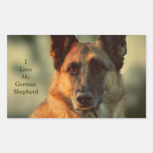 German Shepherd Rechthoekige Sticker (Voorkant)