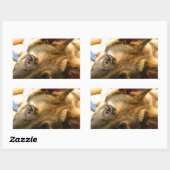 German Shepherd Rechthoekige Sticker (Vel)