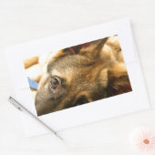 German Shepherd Rechthoekige Sticker (Envelop)