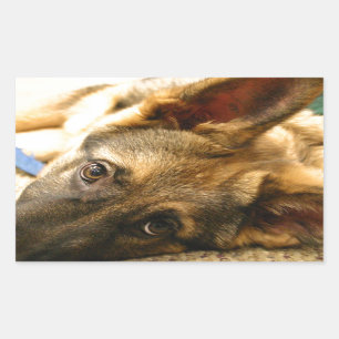 German Shepherd Rechthoekige Sticker