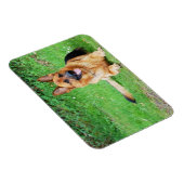 German Shepherd Resting in Grass Magnet Magneet (Rechterzijde)