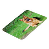 German Shepherd Resting in Grass Magnet Magneet (Linkerzijde)