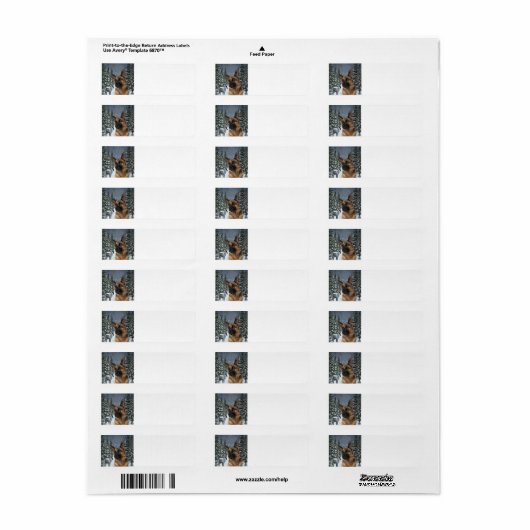 German Shepherd Return Address Labels (Full Sheet)