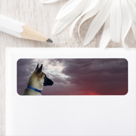 German Shepherd Return Address Labels (Insitu)