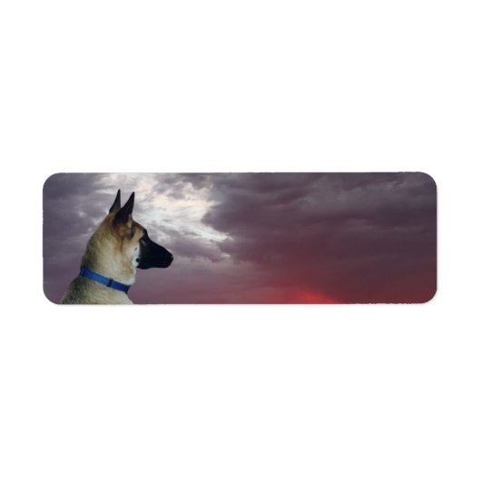 German Shepherd Return Address Labels (Voorkant)
