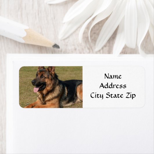 * GERMAN SHEPHERD* RETURN ADRES ETIKET (Insitu)