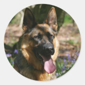 German Shepherd Ronde Sticker (Voorkant)
