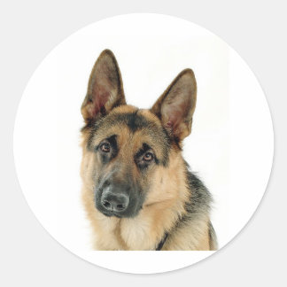 German Shepherd Ronde Sticker