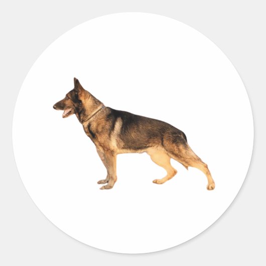 German shepherd Round Sticker (Voorkant)