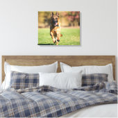 German Shepherd Running Canvas Afdruk (Insitu (Slaapkamer))