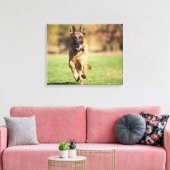 German Shepherd Running Canvas Afdruk (Insitu (Woonkamer))