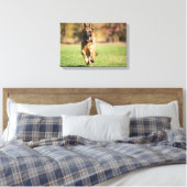 German Shepherd Running Canvas Afdruk (Insitu (Slaapkamer))