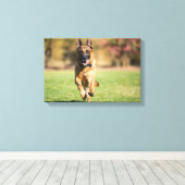 German Shepherd Running Canvas Afdruk (Insitu (Houten vloer))