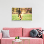 German Shepherd Running Canvas Afdruk (Insitu (Woonkamer))