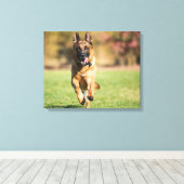 German Shepherd Running Canvas Afdruk (Insitu (Houten vloer))