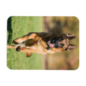 German Shepherd Running Magneet (Horizontaal)