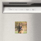 German Shepherd Running Magneet (Insitu (Vaatwasser))