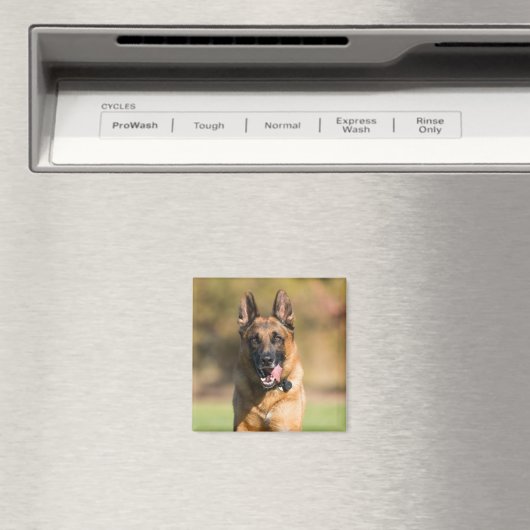 German Shepherd Running Magneet (Insitu (Vaatwasser))